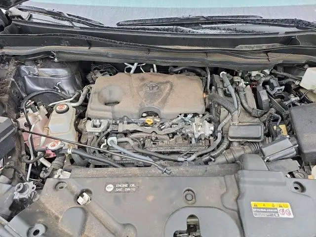 2025 TOYOTA SIENNA LE  