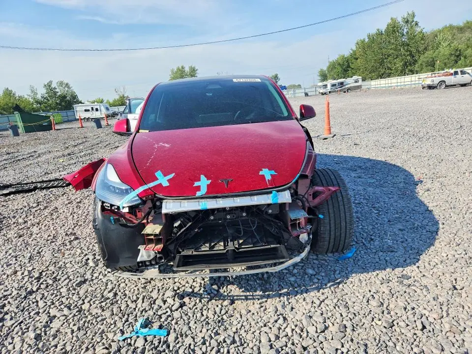 2025 TESLA MODEL Y   