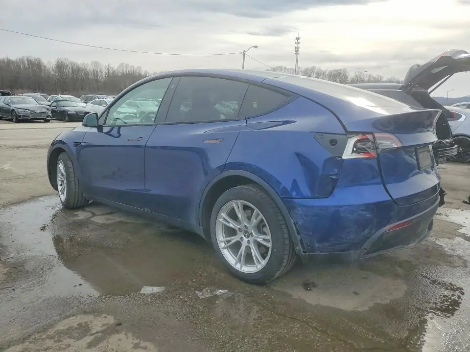 2021 TESLA MODEL Y   
