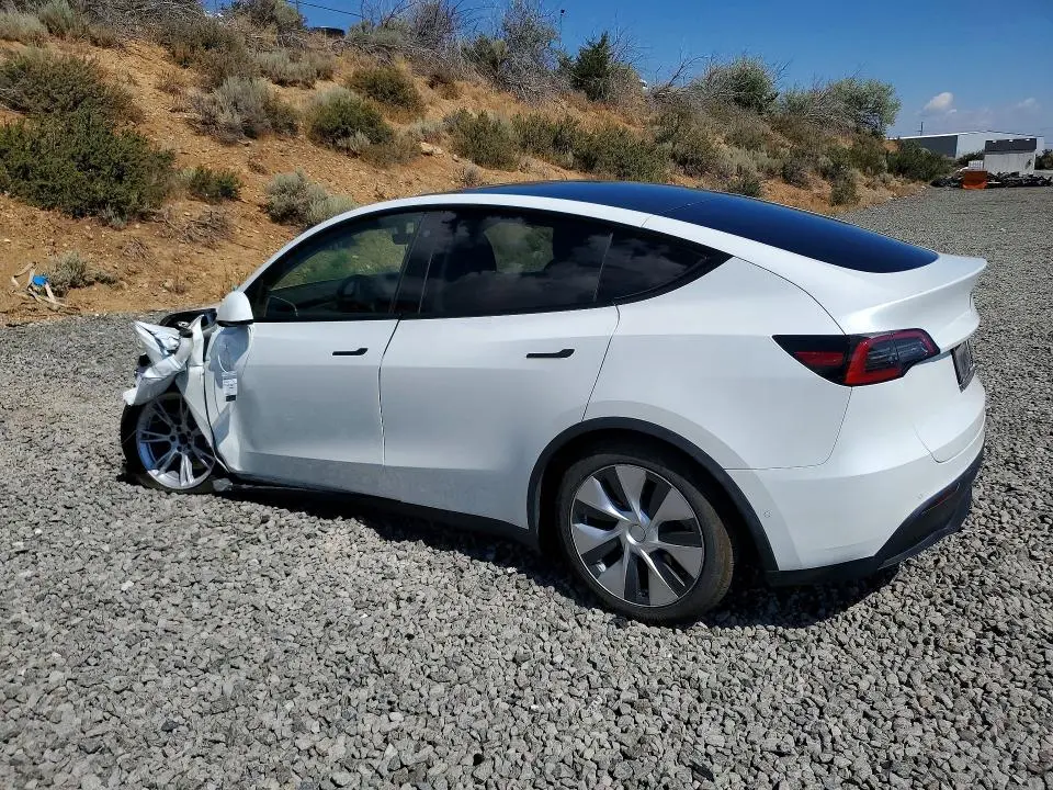 2021 TESLA MODEL Y   