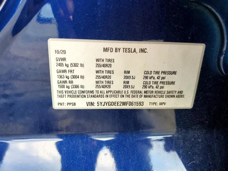 2021 TESLA MODEL Y   