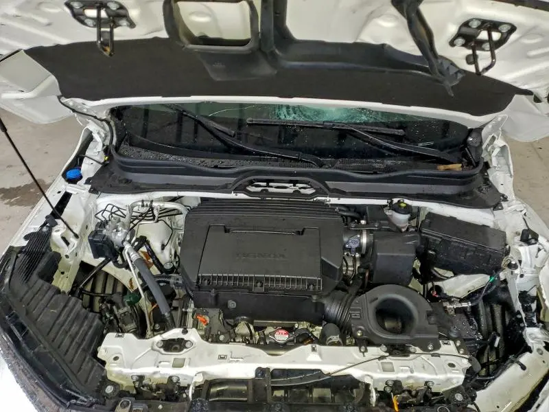 2025 HONDA PILOT EXL  