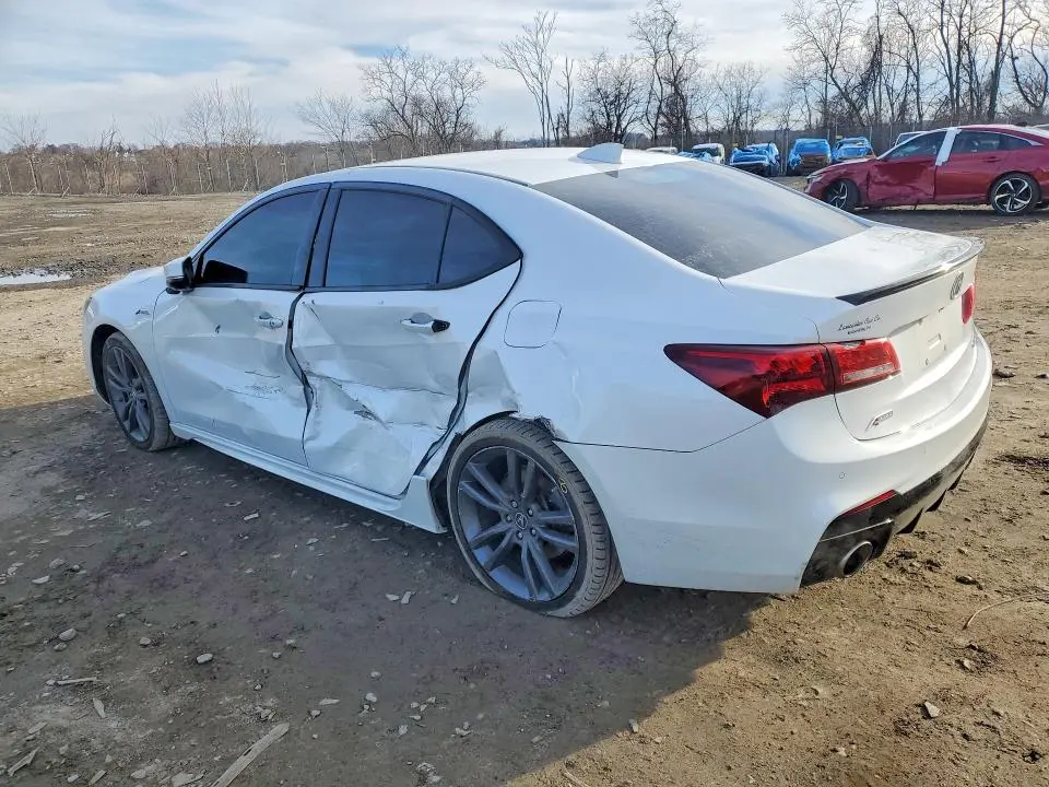 2019 ACURA TLX   
