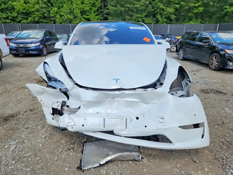 2020 TESLA MODEL Y   