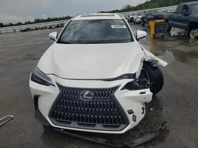 2024 LEXUS NX 450H LUXURY  