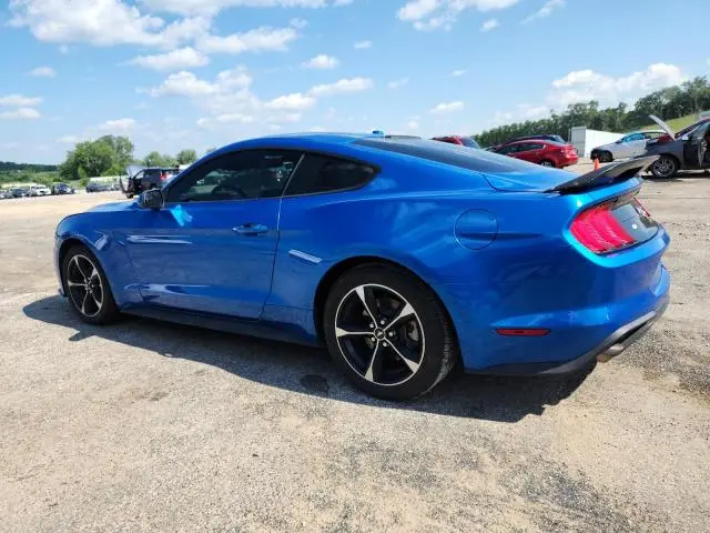 2019 FORD MUSTANG   