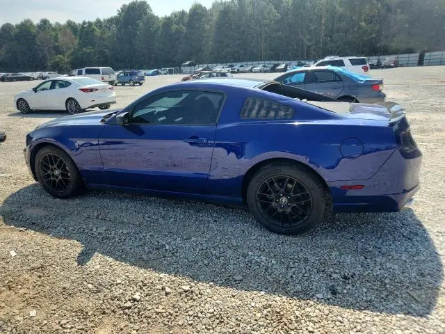 2014 FORD MUSTANG   