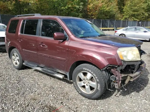 2011 HONDA PILOT EXL  