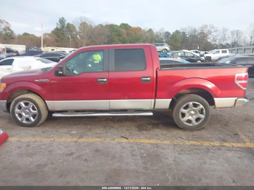 2013 FORD F-150 XLT