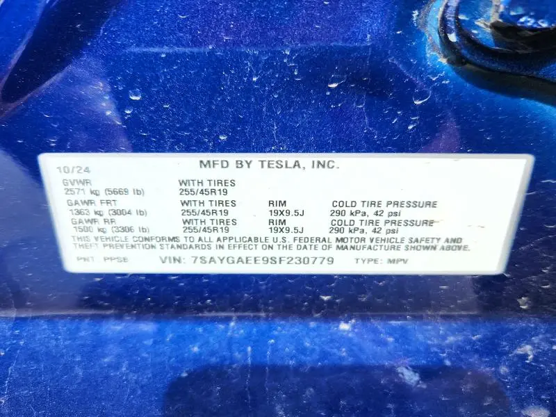 2025 TESLA MODEL Y   