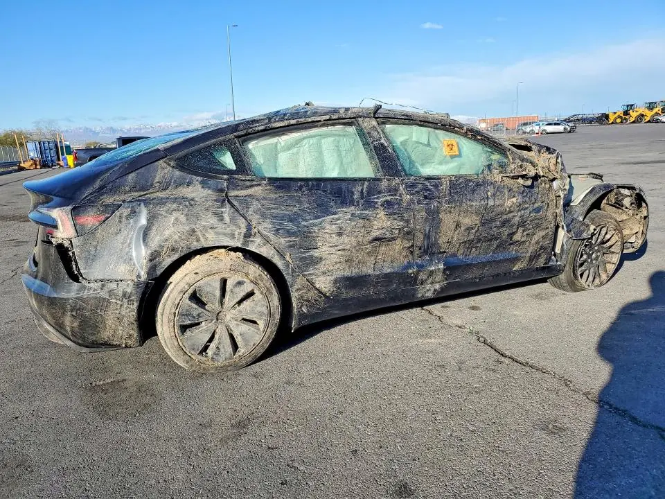 2025 TESLA MODEL 3   