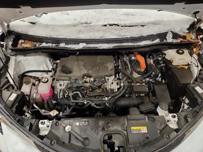 2021 TOYOTA SIENNA LE  