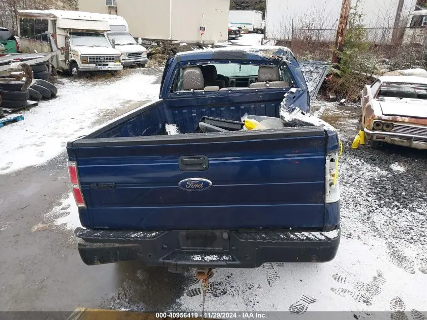 2010 FORD F-150 FX4/HARLEY-DAVIDSON/KING RANCH/LARIAT/PLATINUM/XL/XLT