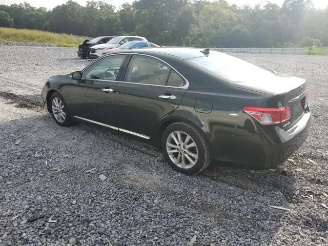 2010 LEXUS ES 350  