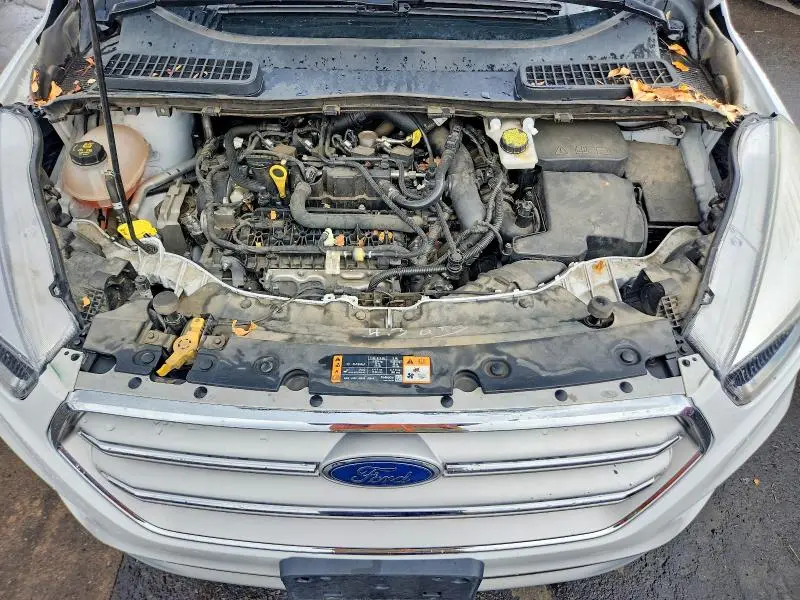 2019 FORD ESCAPE SE  