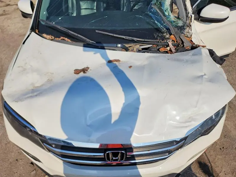 2017 HONDA PILOT EXL  