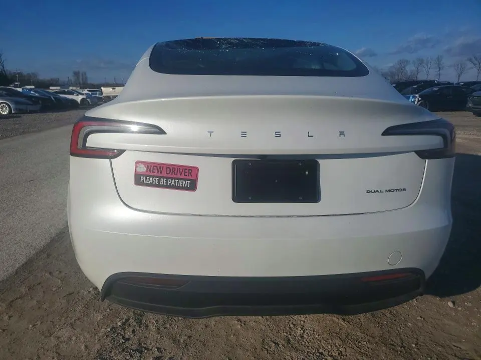 2025 TESLA MODEL 3   