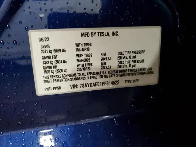 2023 TESLA MODEL Y   