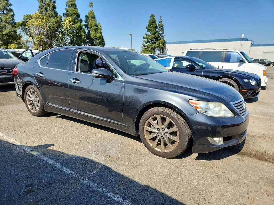 2010 LEXUS LS 460  