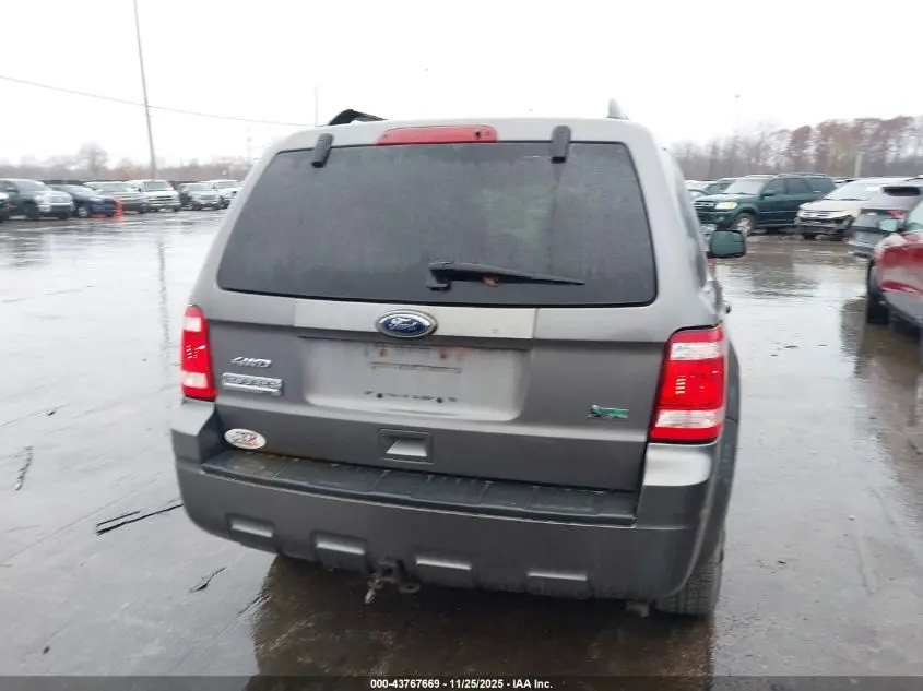 2010 FORD ESCAPE XLT