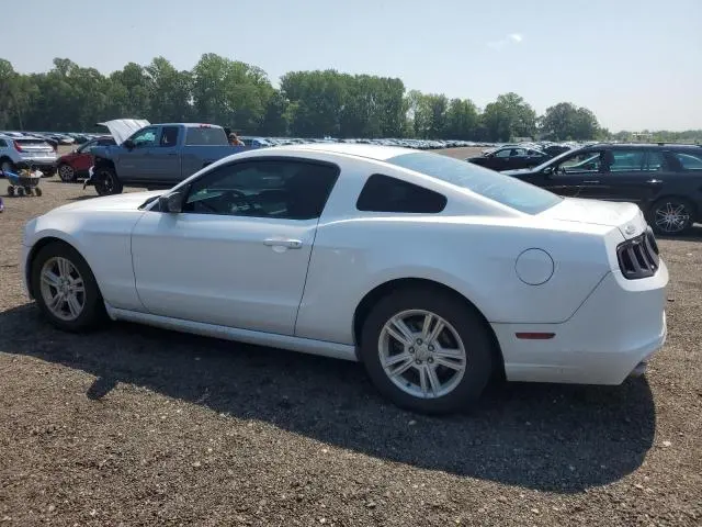 2014 FORD MUSTANG   