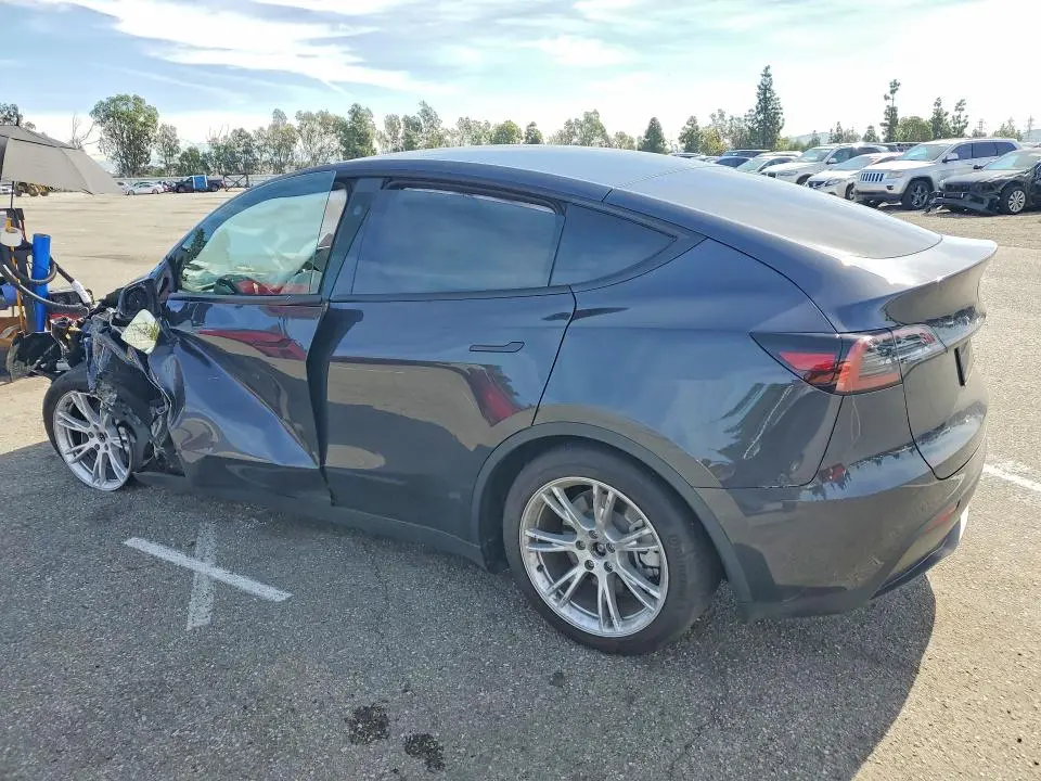 2024 TESLA MODEL Y   