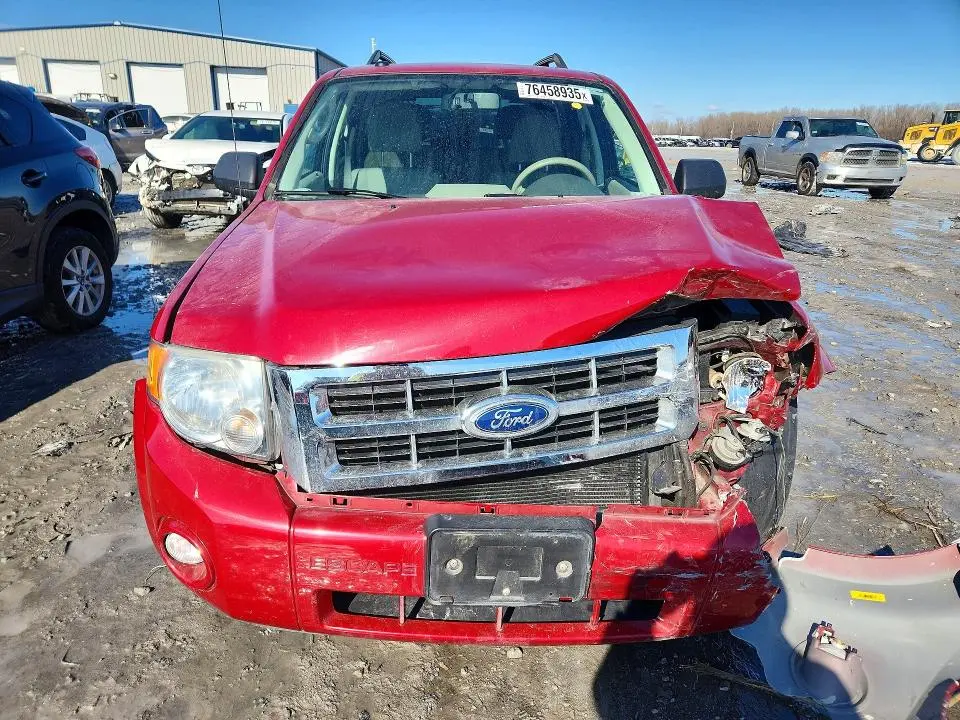 2010 FORD ESCAPE XLT  