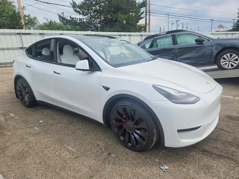 2024 TESLA MODEL Y   