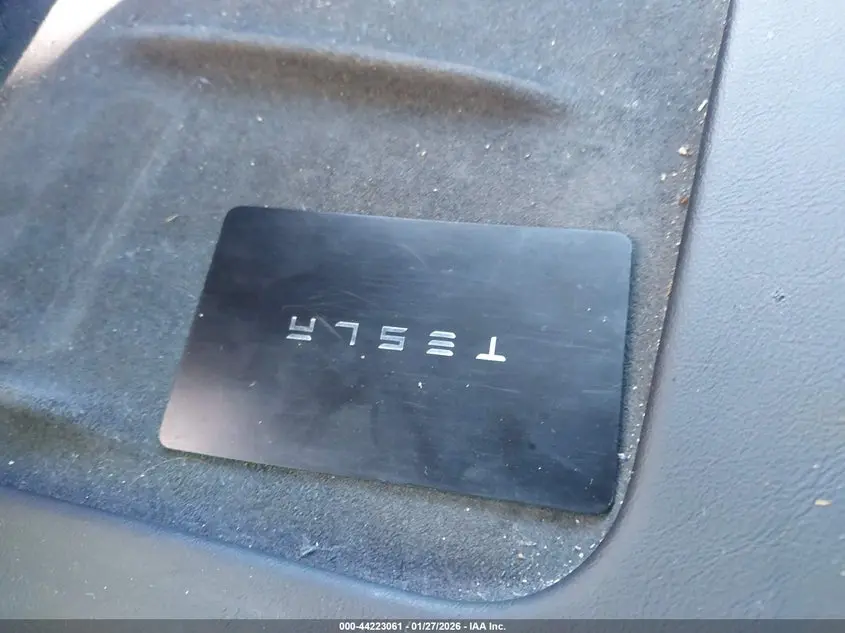 2024 TESLA MODEL Y RWD