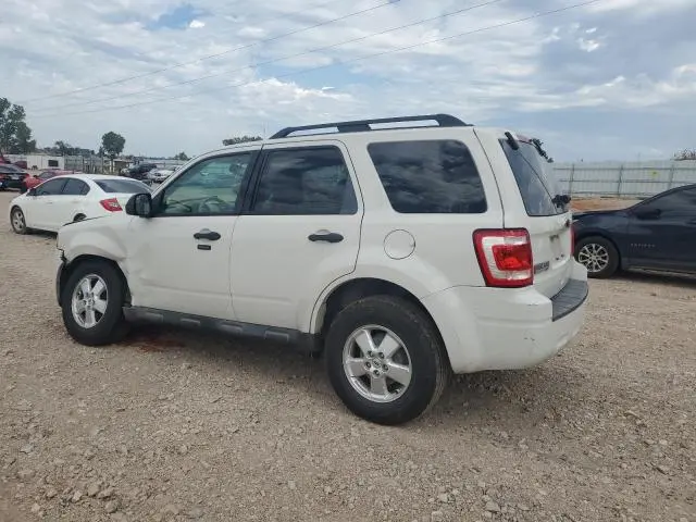 2011 FORD ESCAPE XLT