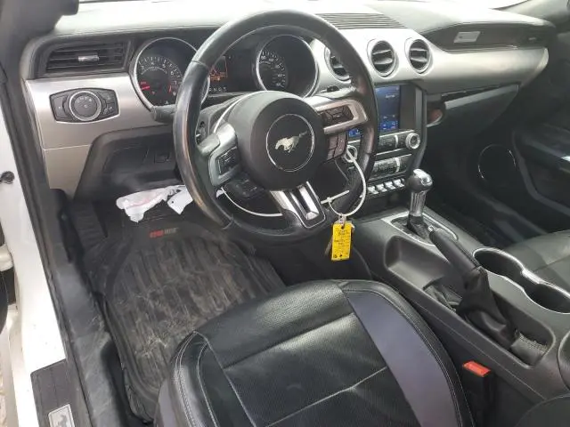 2019 FORD MUSTANG GT  