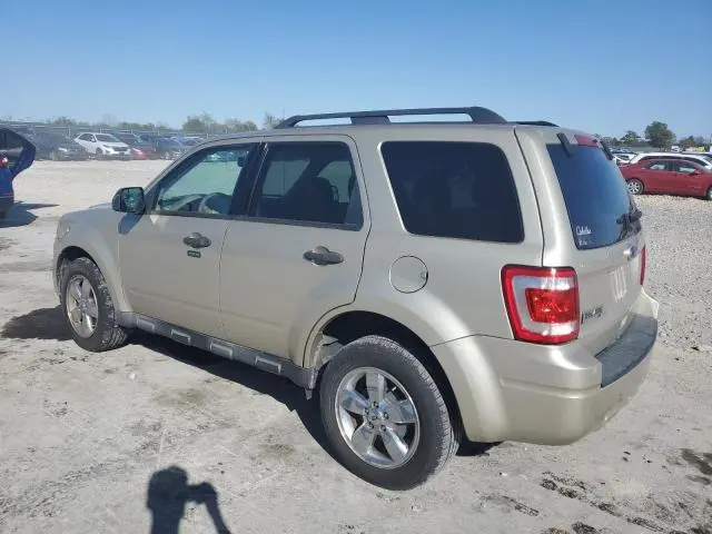 2010 FORD ESCAPE XLT  