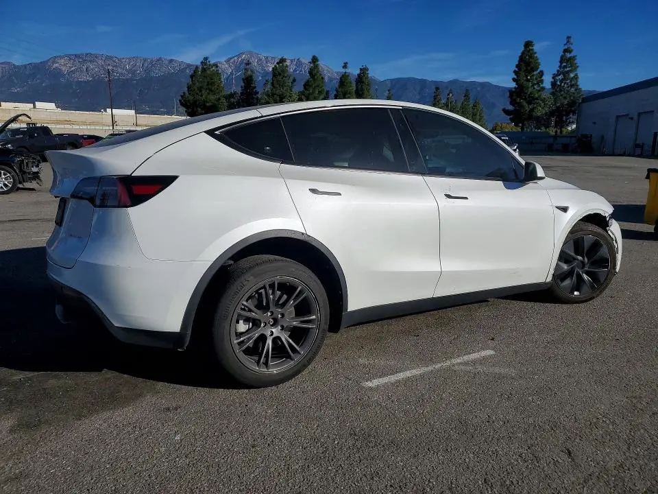 2025 TESLA MODEL Y   