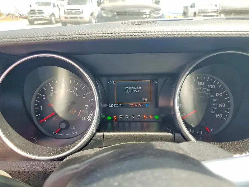 2019 FORD MUSTANG GT  