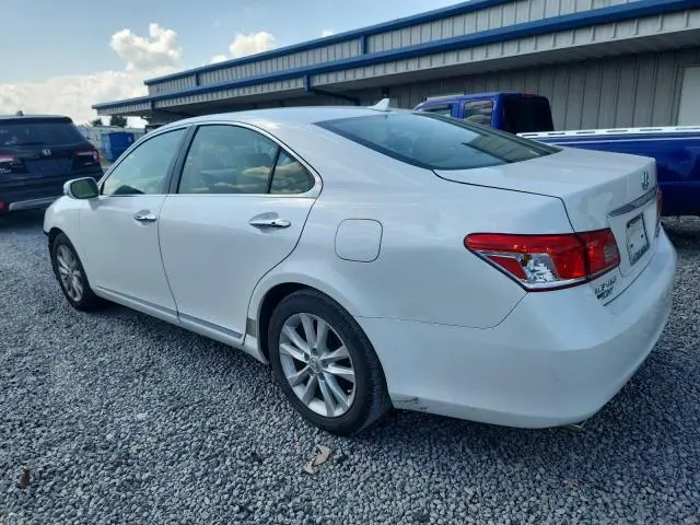 2010 LEXUS ES 350