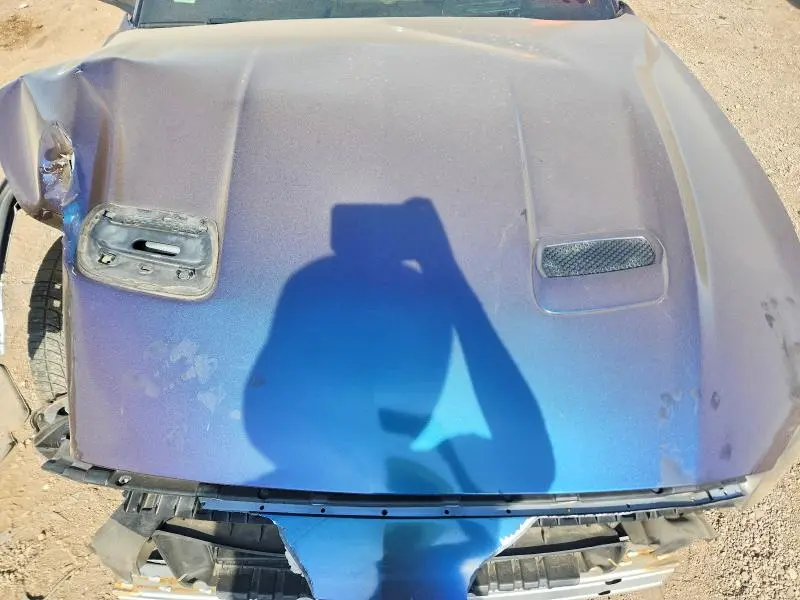 2019 FORD MUSTANG   