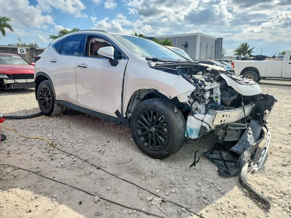 2022 LEXUS NX 250  