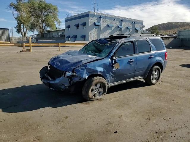 2010 FORD ESCAPE XLT