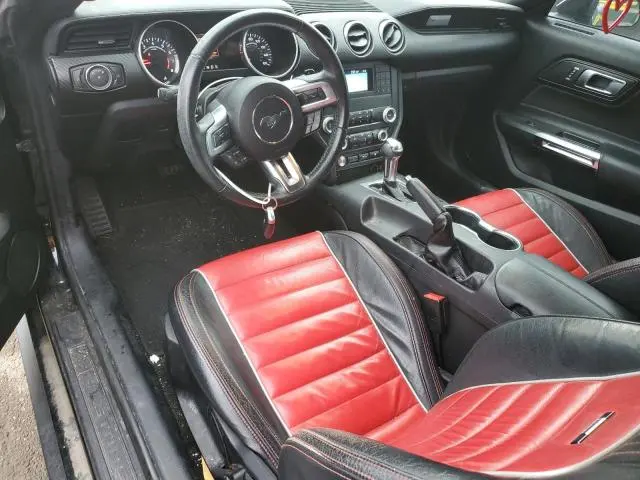 2019 FORD MUSTANG   