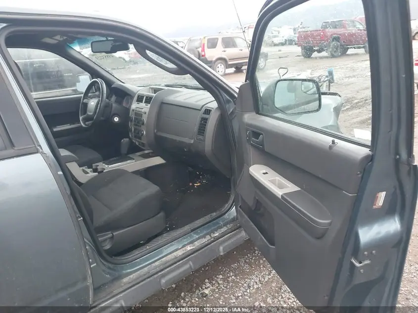 2010 FORD ESCAPE XLT