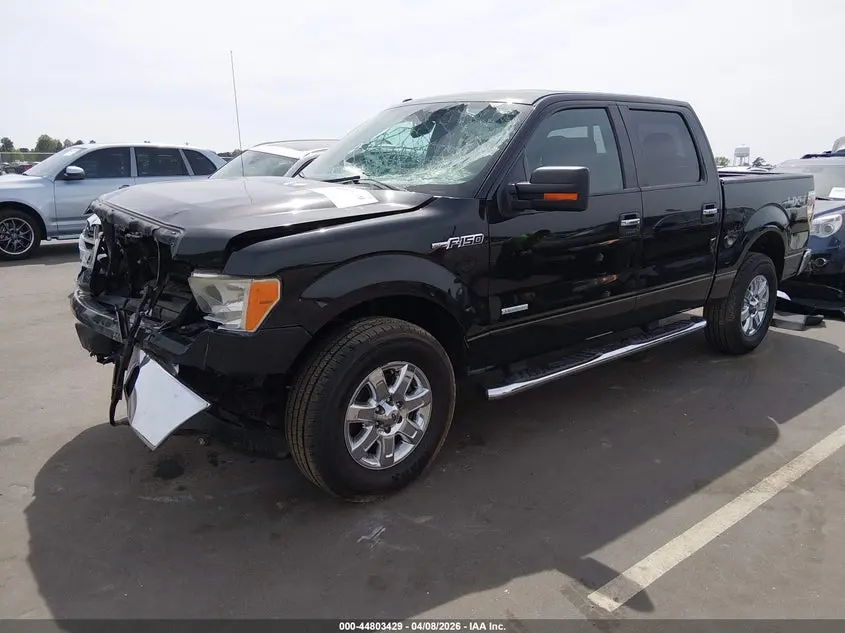 2013 FORD F-150 XLT