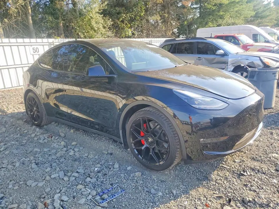 2021 TESLA MODEL Y   