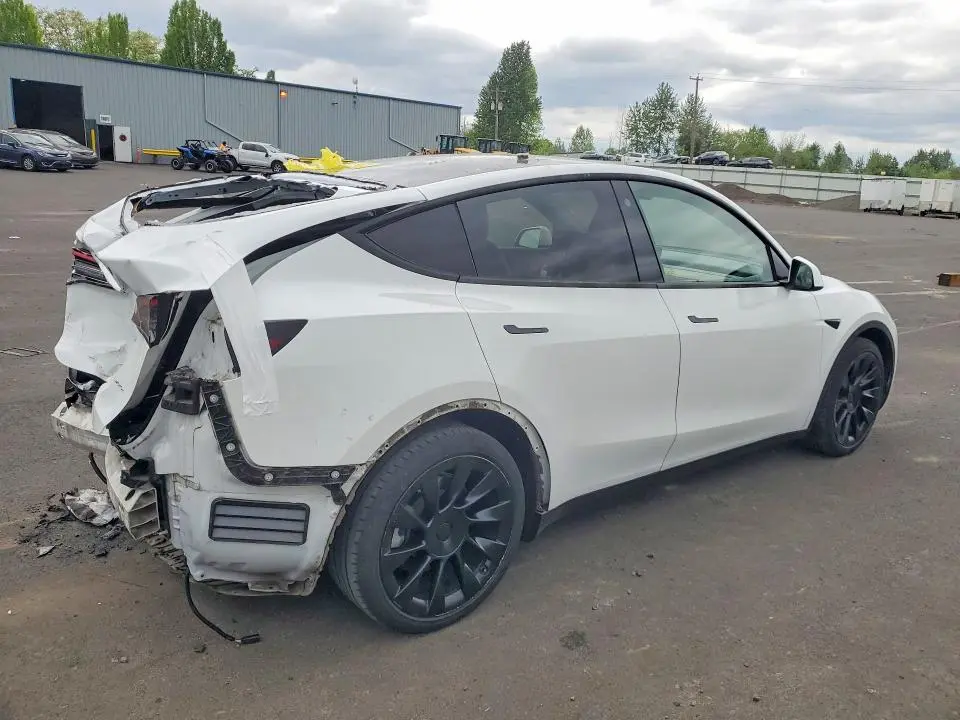 2021 TESLA MODEL Y   