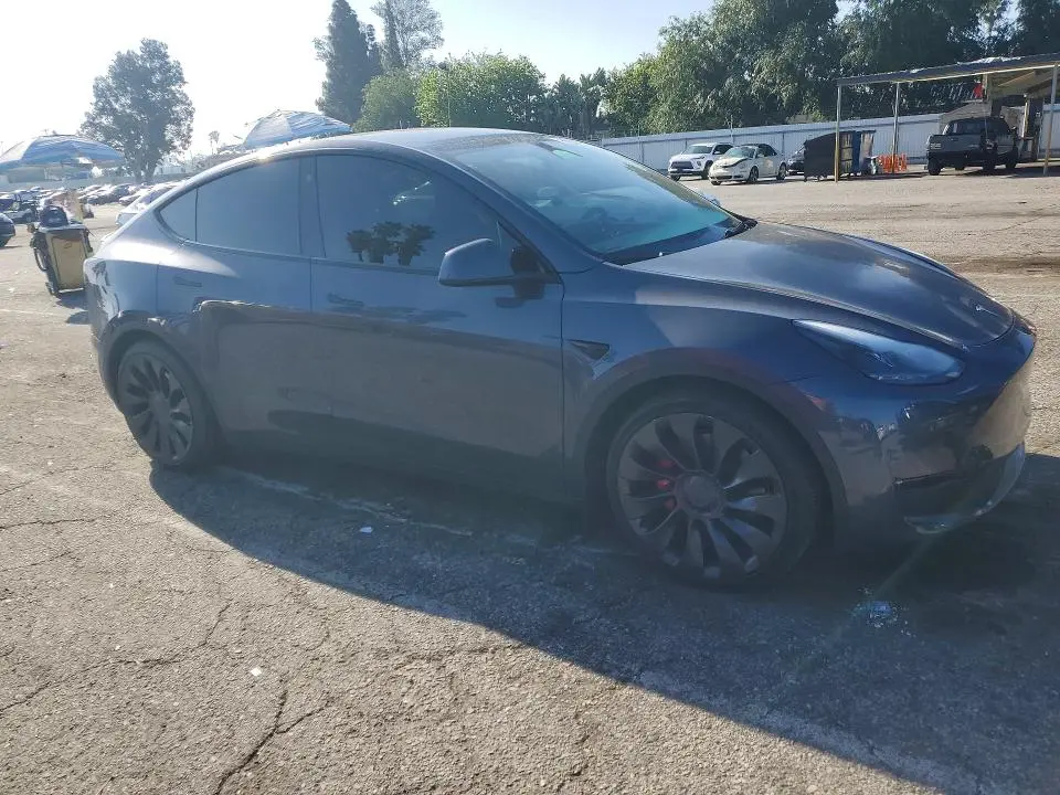 2023 TESLA MODEL Y   