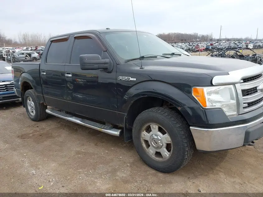 2013 FORD F-150 XLT