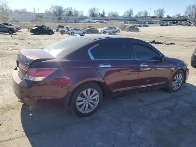 2011 HONDA ACCORD EXL