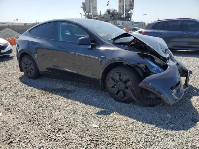 2025 TESLA MODEL Y 