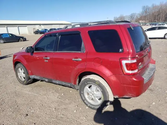 2010 FORD ESCAPE XLT  