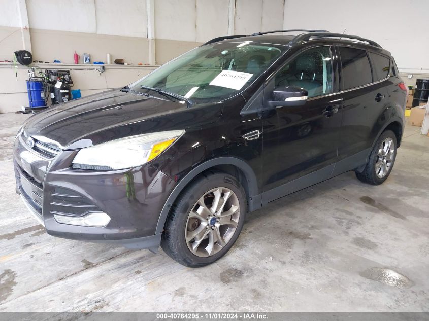 2013 FORD ESCAPE SEL