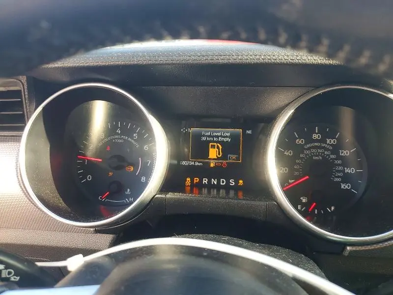 2019 FORD MUSTANG GT  